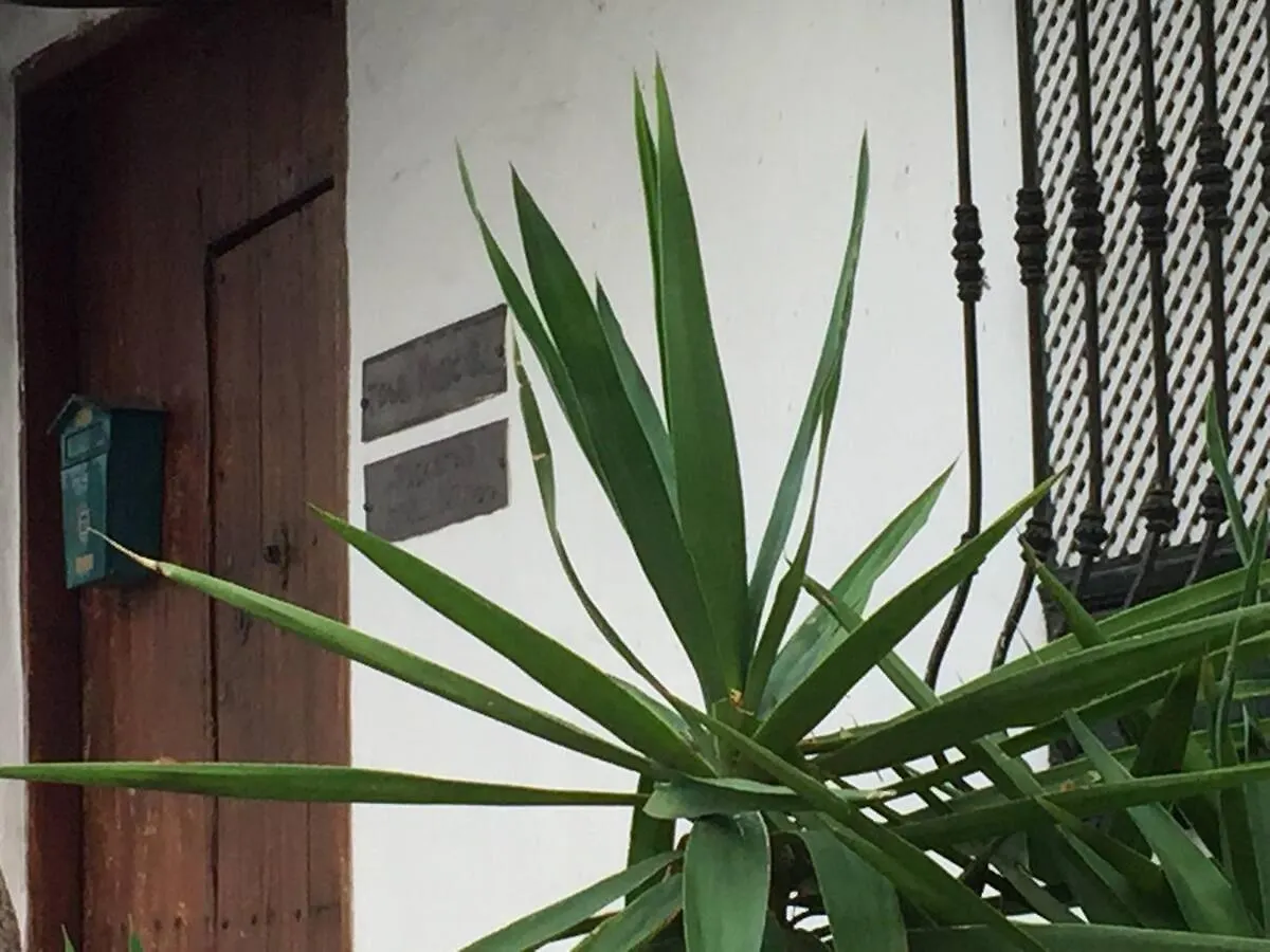 Apartamento Casa rústica San Francisco 1 Telde